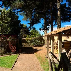Bird watching tour near Bogota