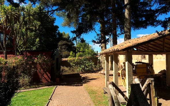 Bird watching tour near Bogota