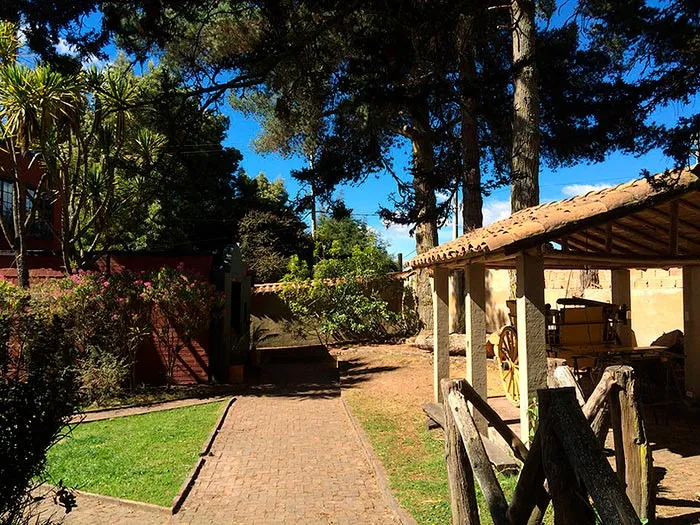 Observatorio de colibríes cerca a Bogotá