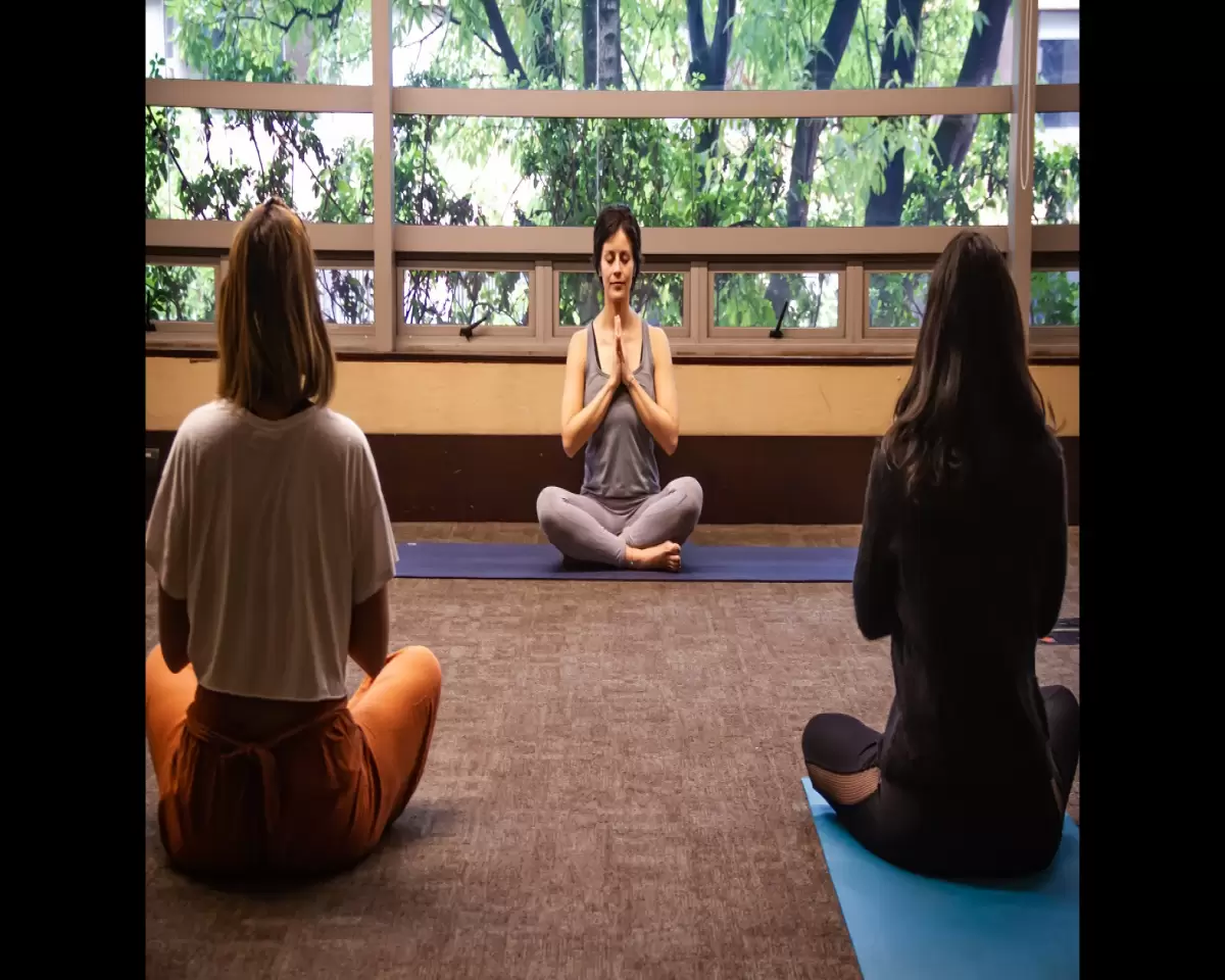 Tour de bienestar y relajación en Bogotá