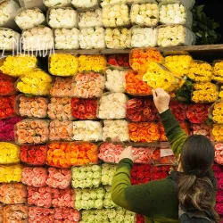 Flores colombianas
