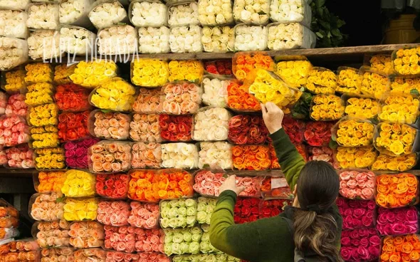 Flores colombianas