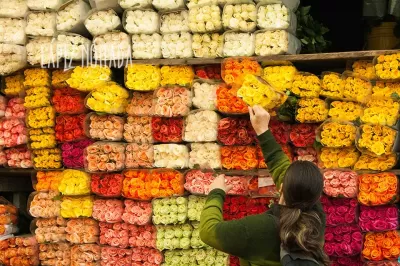 Flores en Paloquemao