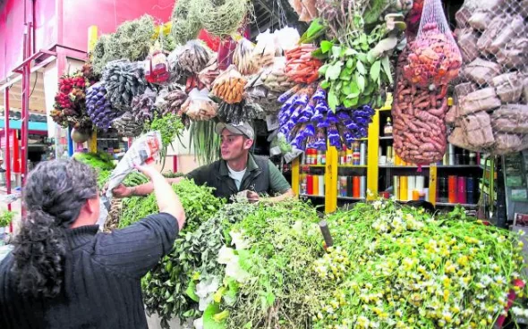 Plantas aromáticas