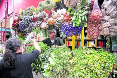 Plantas aromáticas