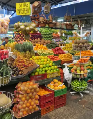 Tour express Paloquemao