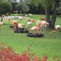 Tour Parque Jaime Duque