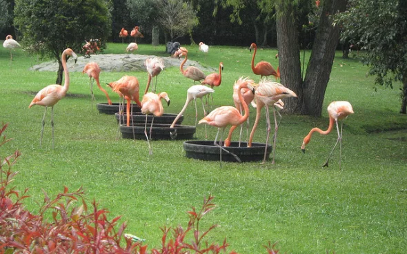 Tour Parque Jaime Duque