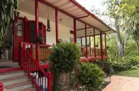 Tour cafetero en Pereira