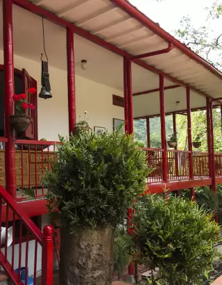 Tour cafetero en Pereira