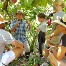 Tour de chocolate y frutas en Marsella