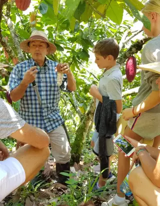 Tour de chocolate y frutas en Marsella
