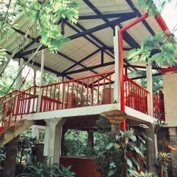 Hacienda tour del café en Bogotá