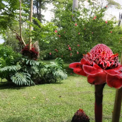 Flora y fauna
