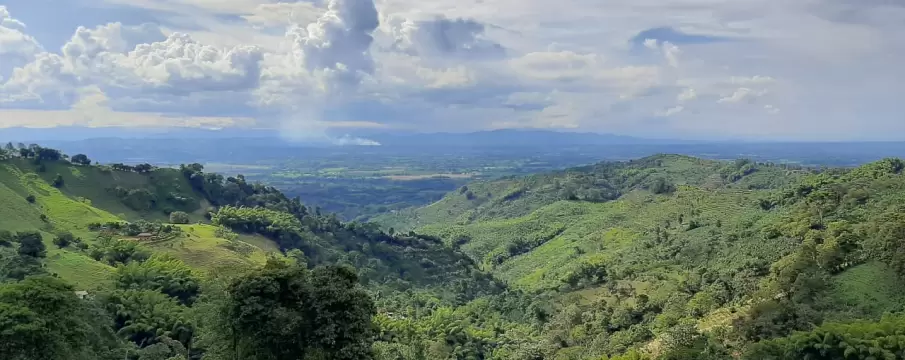 Paisaje hacienda cafetera Armenia Colombia