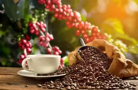 Tour del café desde Bogotá