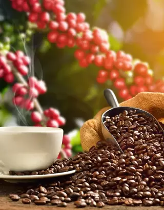 Tour del café desde Bogotá