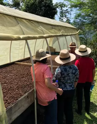 Tour del café cerca a Pereira