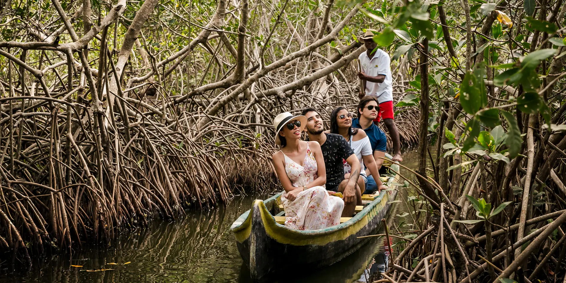 Cartagena Mangroves Eco Tour