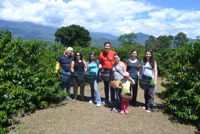 Tourists at a coffee farm