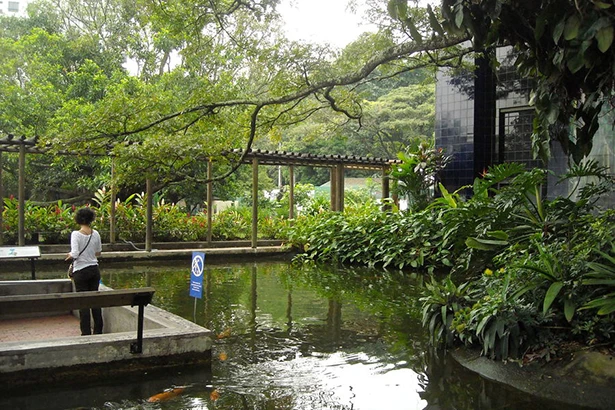 Ecological park near Bogotá