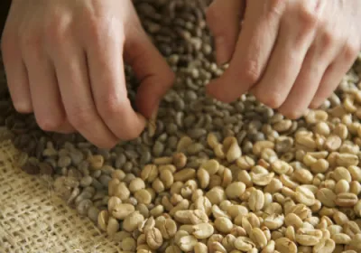 Selección de café