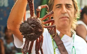 Turista con cangrejo en tour gastronómico Cartagena