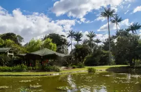 Visita al Jardín Botánico de Bogotá
