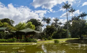 Visita al Jardín Botánico de Bogotá