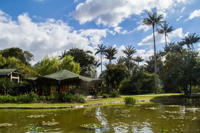Bogotá Botanical Garden