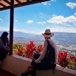 Vista desde plantación de café