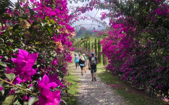 Walking to Cocora Valley