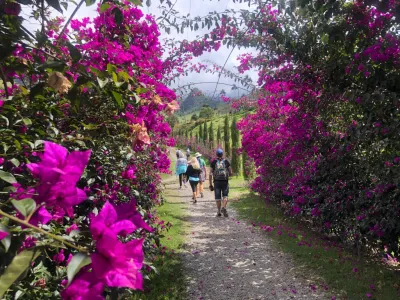 Caminata entre vegetación