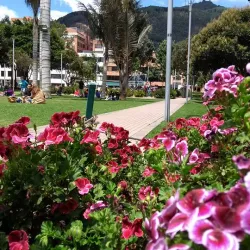 Tour a pie en Bogotá parque la 93
