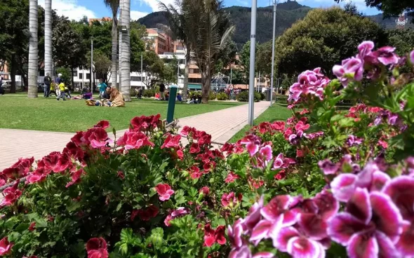 Tour a pie en Bogotá parque la 93