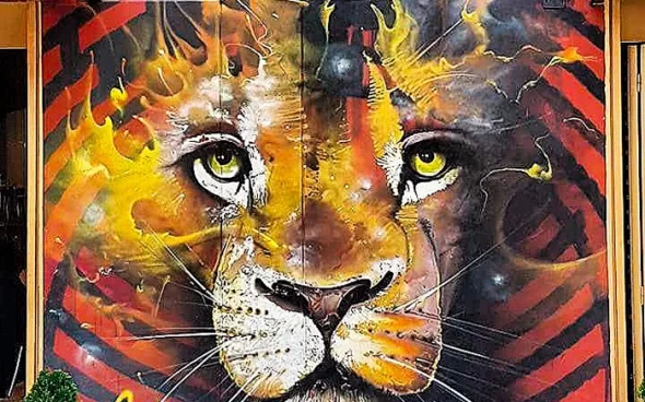 Tour de graffiti en Bogotá