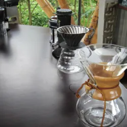 Coffee tour in Bogota