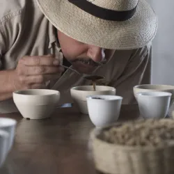 Bogota coffee cupping tour