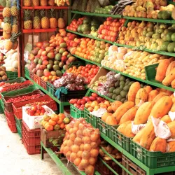 Prueba de frutas en tour gastronómico