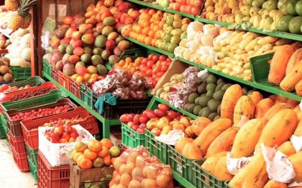 Prueba de frutas en tour gastronómico