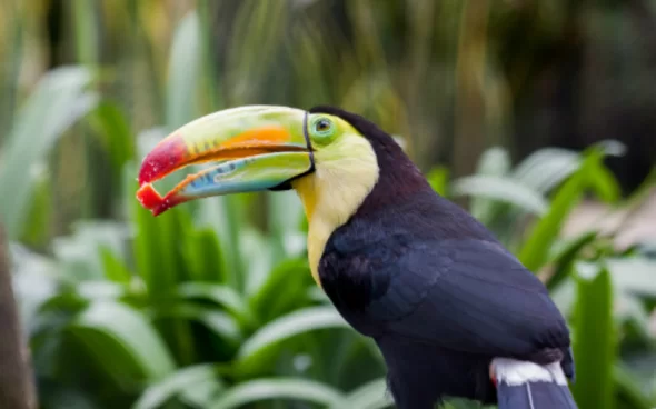 Tour Reserva Bioparque