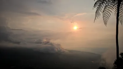 Panorámica de bosque