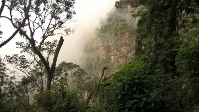 Caminata por bosque de niebla