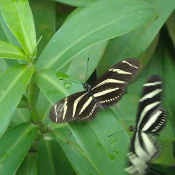 Tour Reserva Bioparque