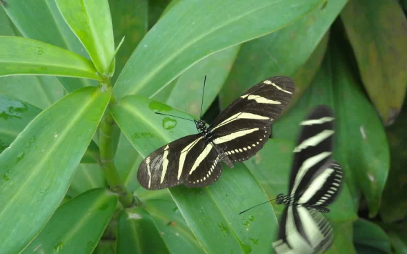 Tour Reserva Bioparque