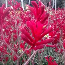 Visita al jardín botánico de Bogotá