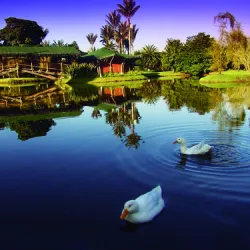 Visita al jardín botánico de Bogotá