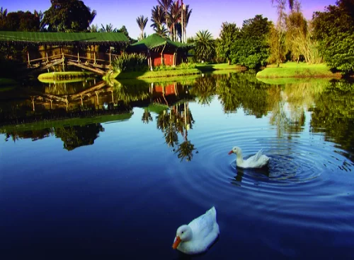 Visita al jardín botánico de Bogotá