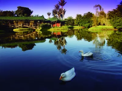 Biodiversity in botanical garden