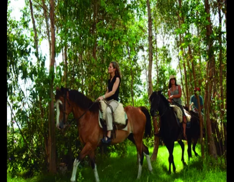 Tour Cabalgata en Tocancipá